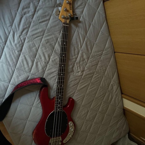Ernie ball music man - man, stingray