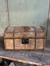 Antique Domed Top Pony Skin Trunk