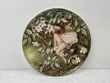 Festival flower fairies - flower,