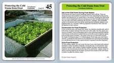 Protecting Cold Frame From Frost #13 Greenhouse - My Green Gardens Cardmark Card