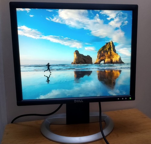 Dell ultrasharp 1905fp - dell,