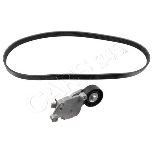 Febi ribbed belt kit for - belt,