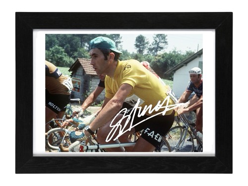 Eddy merckx signed - eddy, autograph