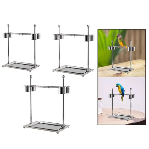 Parrot playstand desktop bird - parrot,
