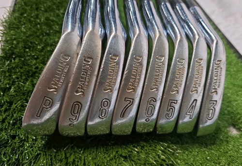 Spalding tour edition - tour, custom