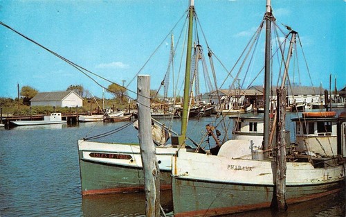 Ocean city maryland - ocean,