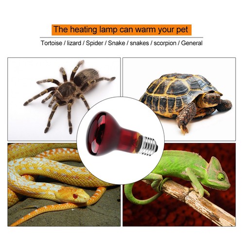 Infrared lamp heating - infrared,