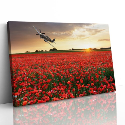 Spitfire sunset poppy - spitfire,