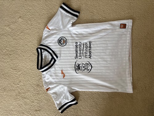 Swansea city football - city, fc