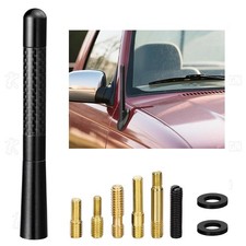 Carbon 4.7 Inch Car Antenna