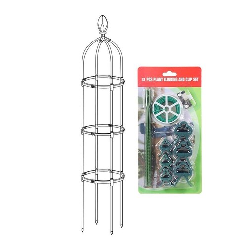 Large garden obelisk plants - garden,