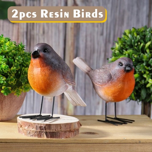 Set robin garden - of, 2