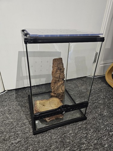 Exo terra glass reptile - glass,