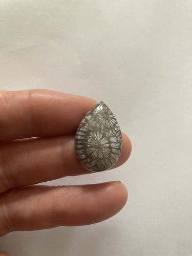 Fossil coral cabachon - fossil,