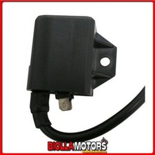 173404 CONTROL UNIT COIL