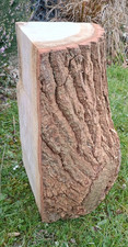 Log side table tree stump