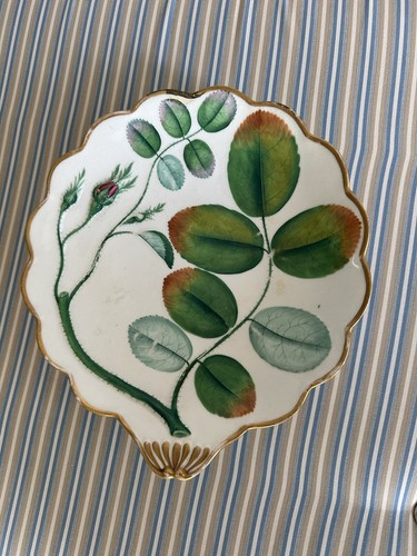 19th century antique royal - 19th,