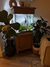 Aqua Oak Large Cube Aquarium