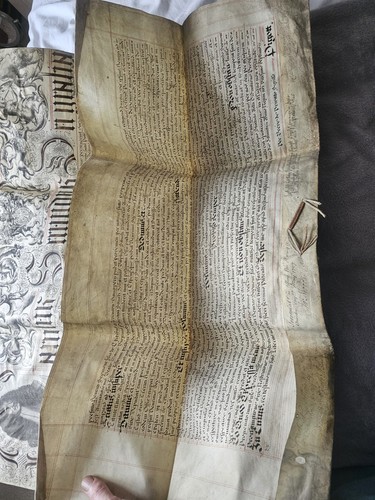 Royal charter patent - royal, king