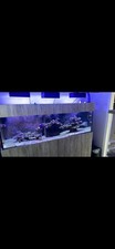 Large Marine Fish Tank & Cabinet with Sump – Complete Setup