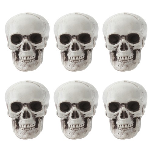 Realistic human skull bone - human,