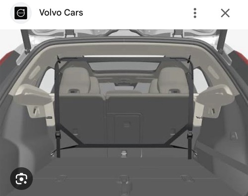 Volvo cargo dog - volvo, pet