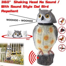 360?? Shaking Head Owl Bird