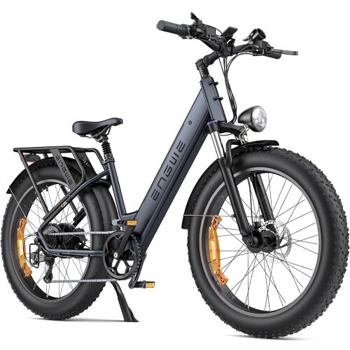 Electric bike 250w - electric,