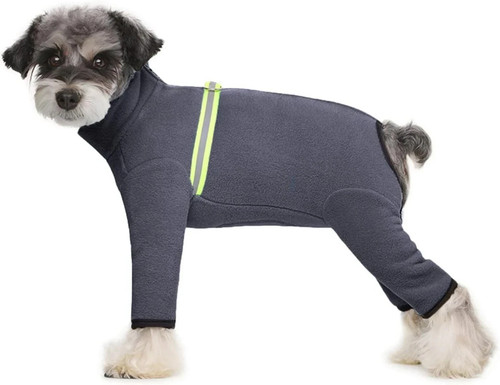 Medium dog legs thick - dog,