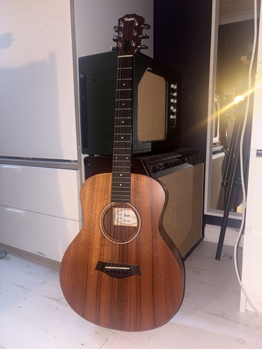 Taylor mini koa - mini-e,