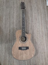 12 String Electro Acoustic