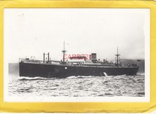 PACIFIC ENTERPRISE 1927 Furness Withy cargo ship wrecked 1949    -Photograph
