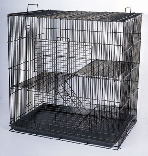 Critter small animal habitat - critter,
