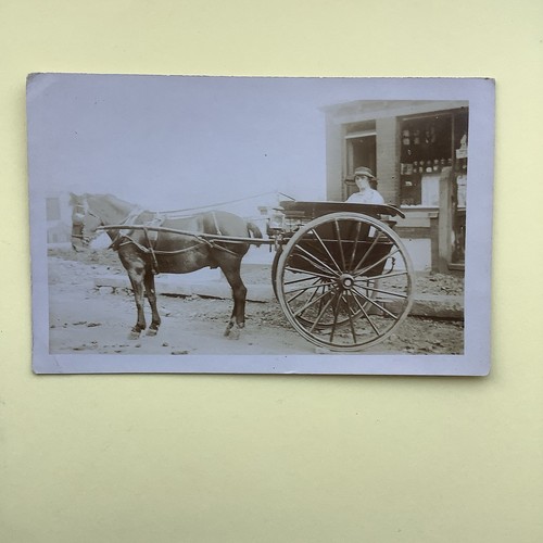 Horse carriage cart social - horse, &