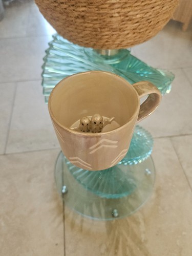 Anthropologie owl you need - anthropologie,