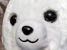 HUGE Squishy Pomeranian Dog Pometan Plush Kids Gift Kawaii Japanese Soft Toy