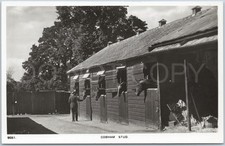 Cobham RPPC Vintage Postcard