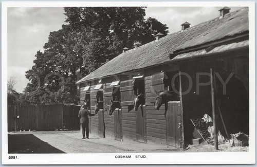 Cobham rppc vintage postcard - cobham,