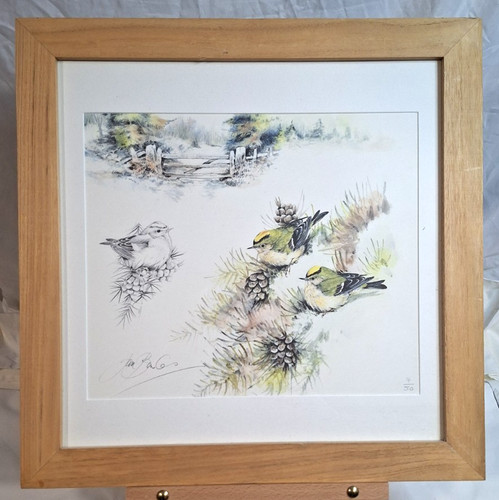 Ian bowles winter - bowles, goldcrest