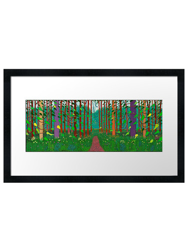 David hockney framed wall art - hockney,