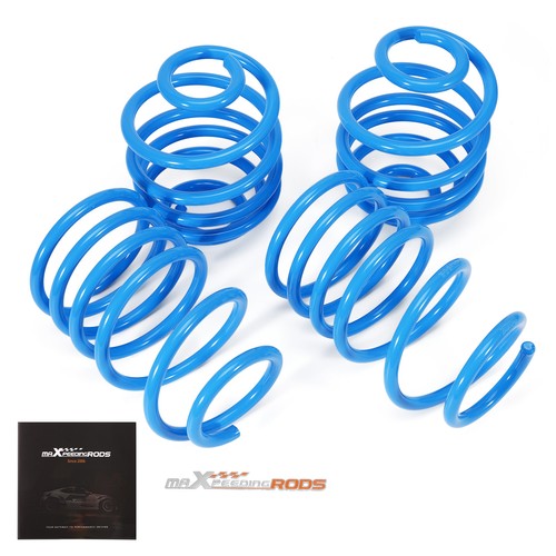 Front rear lowering springs - rear,