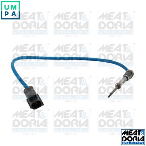 Sensor exhaust gas temperature - exhaust,