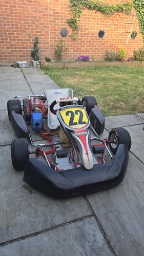 2013 wright kart - wright,
