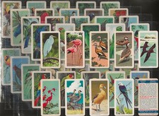 BROOKE BOND (TEA)-FULL SET-