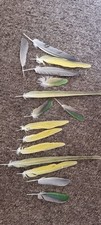Parrot Feather Craft Fishing Accessory Genuine Molted, Yellow Green, Red Blue