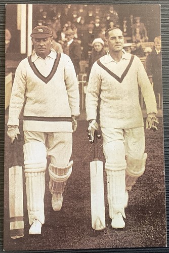 Cricket scarborough - cricket,