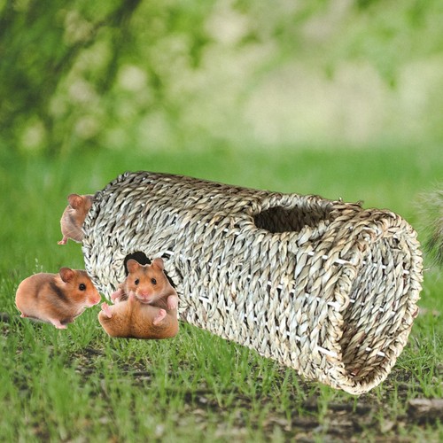 Hamster tunnel nest peep - nest, hole
