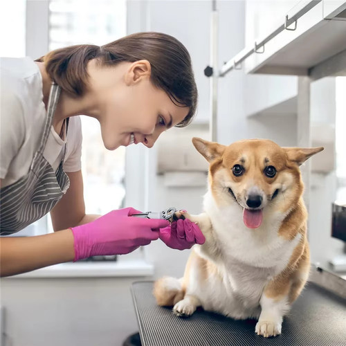 Pet nail clippers dog - clippers,