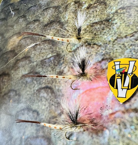 Fly size 12 ultimate - 3,