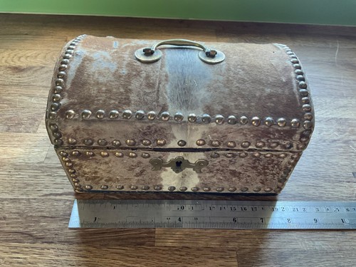 18th century small pony skin - pony,